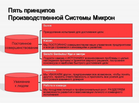 5 принципов Производственной системы Микрон