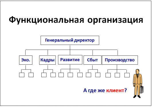 Функциональная организация