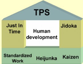 TPS_human_development
